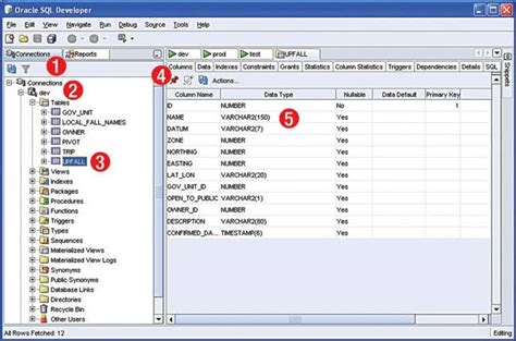 Download SQL Navigator for
